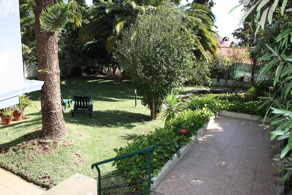 Villa Echium Caniço Eksteriør billede